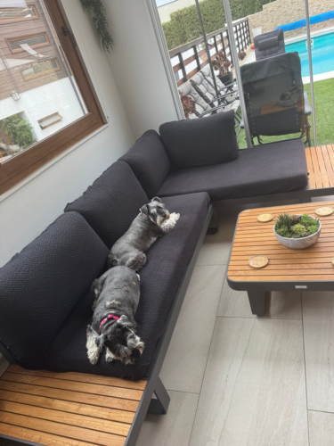 Funda Magica Cubre Sofa photo review