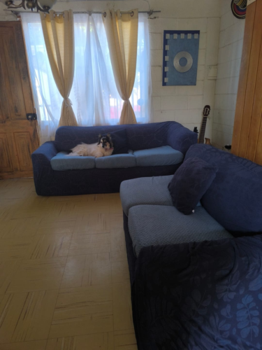 Funda Magica Cubre Sofa photo review